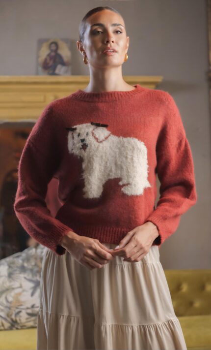 JERSEY PERRITO BURDEOS