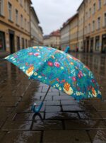 PARAGUAS BIRDS - Imagen 3