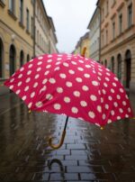 PARAGUAS MINI MARGARITAS - Imagen 4